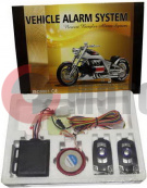 ������������ 338 ����