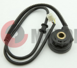 �������� ����.����.250�� XR250