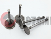 Клапана Днепр (1 комплект=2 пары) Клапана Днепр (1 комплект=2 пары)