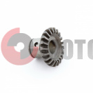 �������� �����.�����.�����.