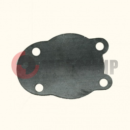 �������� ����� ����� ��������.