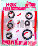 ����� ��������� 2�.DY-100 (�����.)