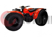 ��� ������ ��� 5,910 ������������ �������� ���������� ������������