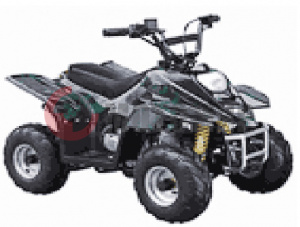 ATV Irbis 70 S