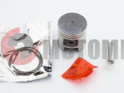 ������� 2T TB 50, Suzuki RUN 1,00 (?42,00 p-10) TNT