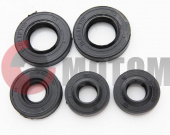 ����� ��������� ����