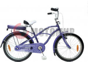 ��������� Wind ANGEL 20"1-spd, ���������� TS20-01/416L