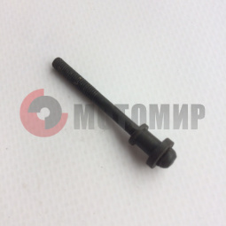 ���� �/� ��������