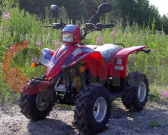 ATV 50�� POLAR FOX ATV50 ������� �������