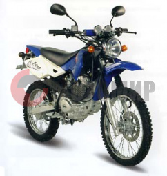 �������� Patron Hobo 125