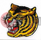 �������� ���� (80*75) ������