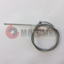 ���� �/� ������ ��������