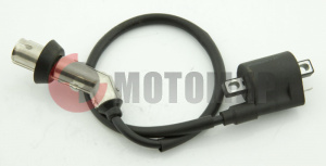 Катушка зажигания ATV 250 Skaner Катушка зажигания ATV 250 Skaner