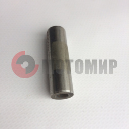 ����� �/� ����