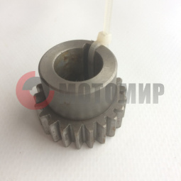 Шестерня моторная передняя Пилот (коленвала) Шестерня моторная передняя Пилот (коленвала)