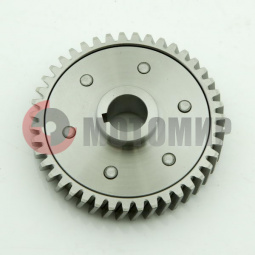 Шестерня балансирного вала ведомая 166FMM (CBB250) Шестерня балансирного вала ведомая 166FMM (CBB250)