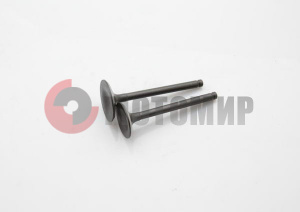 ������� (65,00mm) 110-125cc ����� 1P54FMI�����