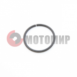 Кольцо стопорн.Нептун муфты (160240088) Кольцо стопорн.Нептун муфты (160240088)