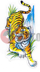 �������� ���� 1 �����