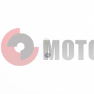 ����� ������ ���������� (160230042)