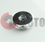 Пробка 250сс в сборе большая YG170MM Taker Пробка 250сс в сборе большая YG170MM Taker