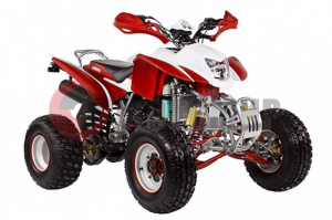 ATV Irbis 250 S