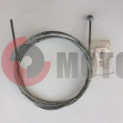 ���� �/� ���� ��������