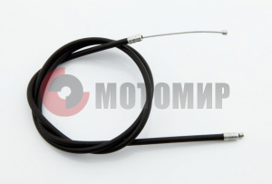 ���� ����� ����