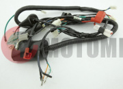 Проводка 4Т 150 Sport150 Проводка 4Т 150 Sport150